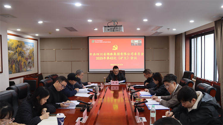 集團(tuán)公司召開2025年第42次黨委（擴大）會議