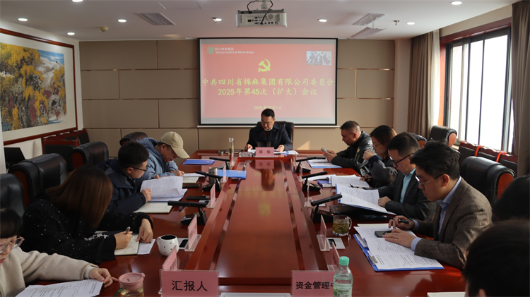 集團(tuán)公司召開2025年第45次黨委（擴大）會議